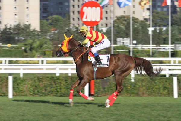 Longines festival internacional de corridas — Fotografia de Stock