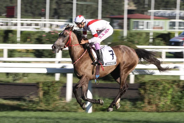 Festival Internacional de Carreras Longines — Foto de Stock