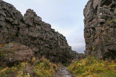 Vadi Thingvellir Milli Parkı'nda, güneybatı İzlanda