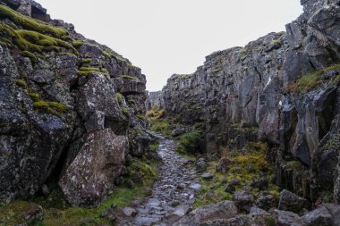 Vadi Thingvellir Milli Parkı'nda, güneybatı İzlanda