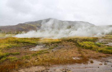 İzlanda'daki Haukadalur Vadisi