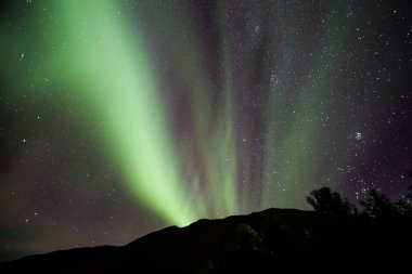 İzlanda 'nın kuzey ışıkları