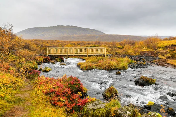 Bruara 河在冰岛 — 图库照片