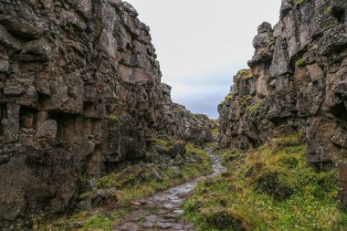 Vadi Thingvellir Milli Parkı'nda, güneybatı İzlanda