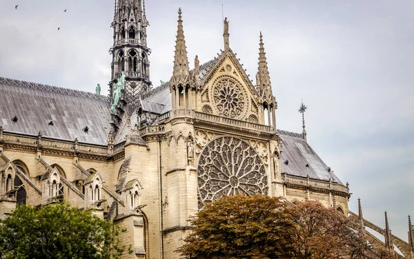 Notre-Dame de Paris — Photo