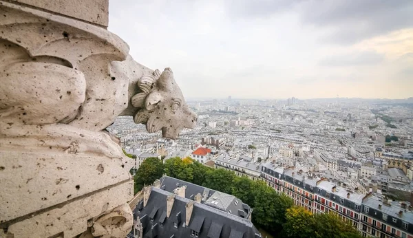Zobacz Paryż od Bazyliki Sacre-Coeur — Zdjęcie stockowe