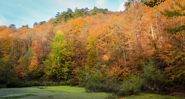 Sazli jezero v Yedigoller národním parku, Turecko — Stock fotografie