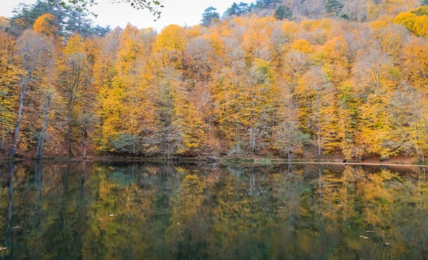 Lac Buyuk dans le parc national Yedigoller, Turquie — Photo