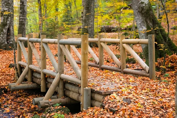 Pont en bois dans le parc national Yedigoller, Turquie — Photo