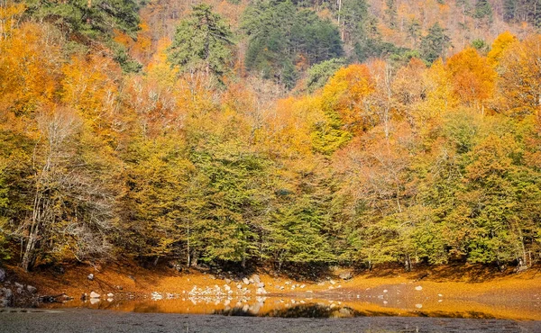 Nazli see im yedigoller nationalpark, truthahn — Stockfoto