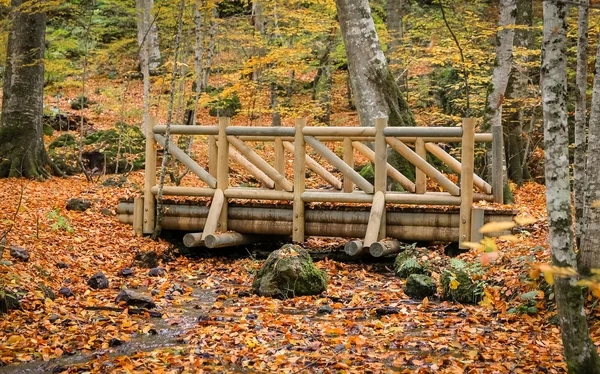 Jembatan kayu di Taman Nasional Yedigoller, Turki — Stok Foto