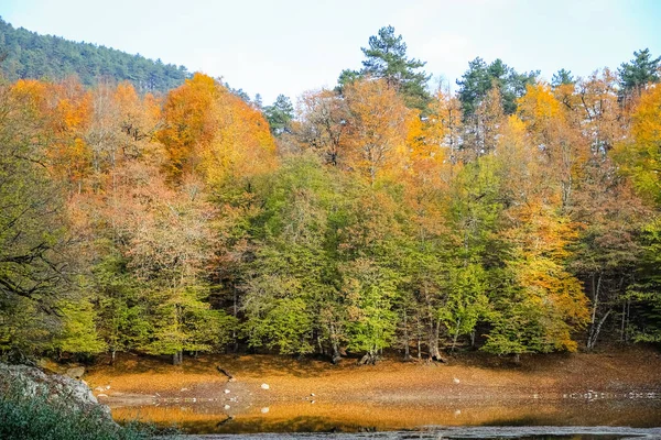 Nazli Lake in Yedigoller Nationaal Park, Turkije — Stockfoto