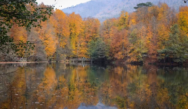 Buyuk Lake in Yedigoller Nationaal Park, Turkije — Stockfoto