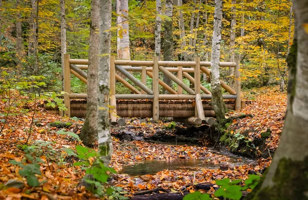 Jembatan kayu di Taman Nasional Yedigoller, Turki — Stok Foto