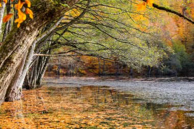 Yedigoller Milli Parkı, Türkiye'de derin Gölü