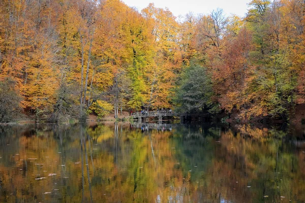 Buyuk Lake in Yedigoller Nationaal Park, Turkije — Stockfoto