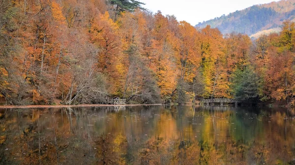 Buyuk Lake in Yedigoller Nationaal Park, Turkije — Stockfoto