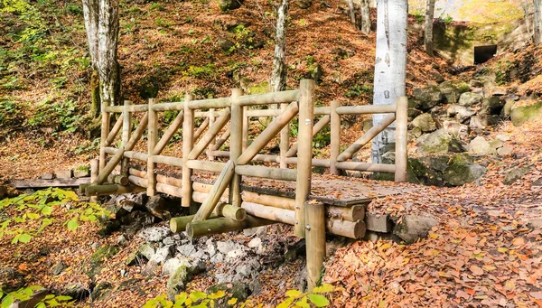 Jembatan kayu di Taman Nasional Yedigoller, Turki — Stok Foto