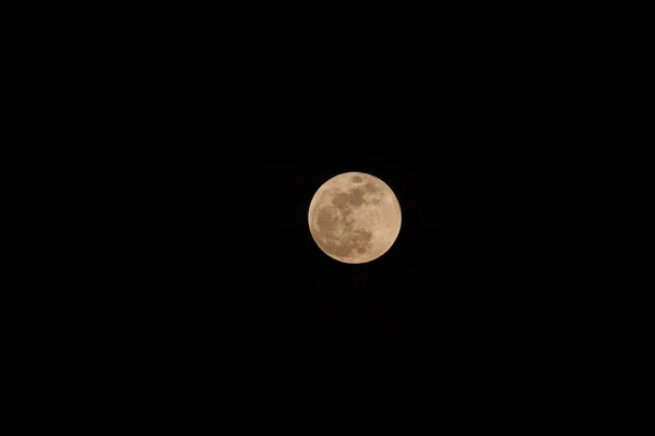 Luna de sangre super azul — Foto de Stock