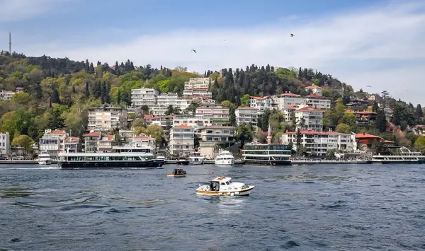 Binalar Istanbul City, Türkiye'de