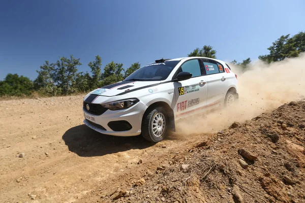 Rally de Estambul 2019 —  Fotos de Stock