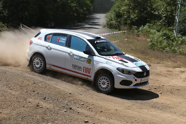 Istanbulská rallye 2019 — Stock fotografie