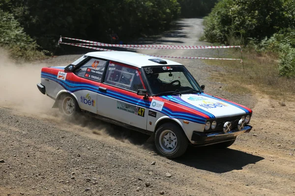 Rally de Estambul 2019 —  Fotos de Stock