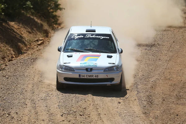 Rally de Estambul 2019 —  Fotos de Stock