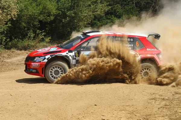 Rally de Estambul 2019 —  Fotos de Stock