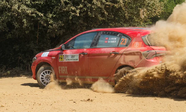 Rally de Estambul 2019 —  Fotos de Stock