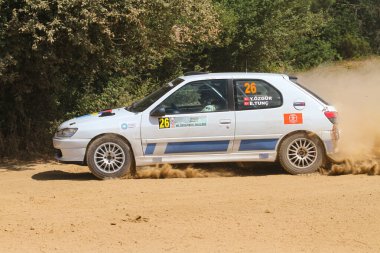 İstanbul Rallisi 2019