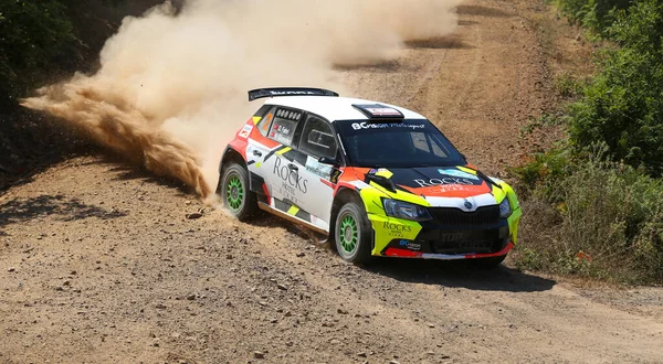 Rally de Estambul 2019 —  Fotos de Stock