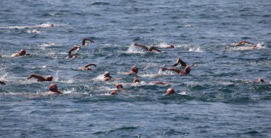 Samsung Boğazı Kıtasal Yüzme Yarışması 2019