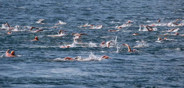 Samsung Bosphorus Cross Continental Concorso nuoto 2019 — Foto Stock