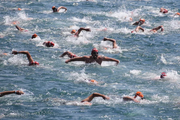 Compétition de natation continentale Samsung Bosphore Cross 2019 — Photo