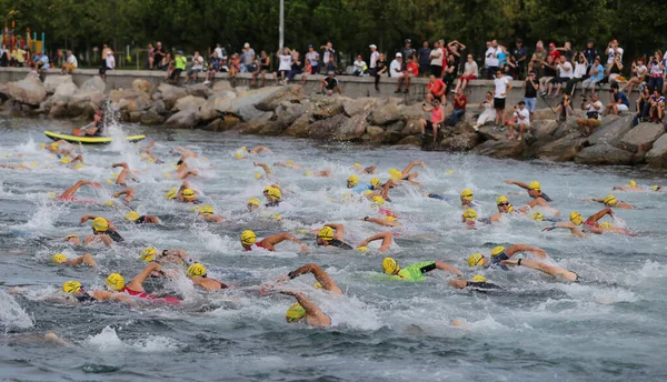 İstanbul Etu Triatlon Balkan Şampiyonası