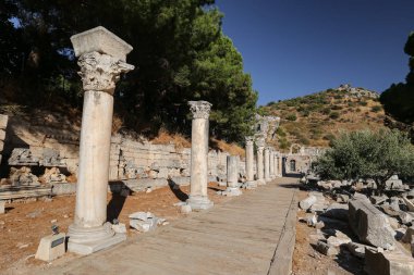 Efes Antik Kent, İzmir, Türkiye