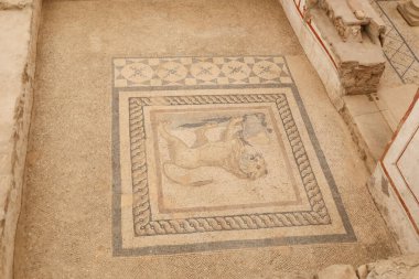 Teras Evlerindeki Mozaik, Efes Antik Kenti, İzmir, Türkiye