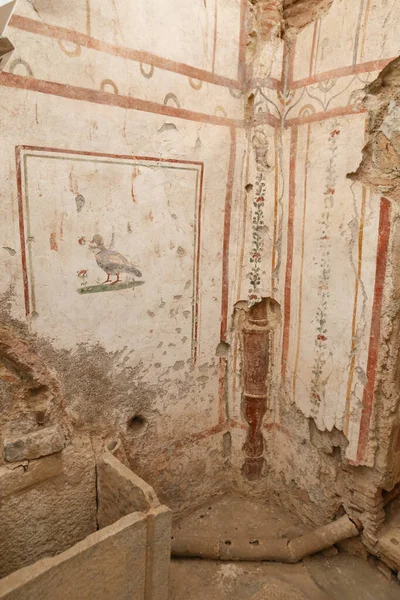 Casas con terraza en Ephesus Ancient City, Izmir, Turquía —  Fotos de Stock