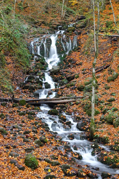 Водоспад в Yedigoller національному парку Bolu, Сполучені Штати Америки — стокове фото