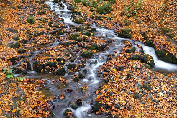 Vodopád v Yedigoller národním parku, Bolu, Turecko — Stock fotografie