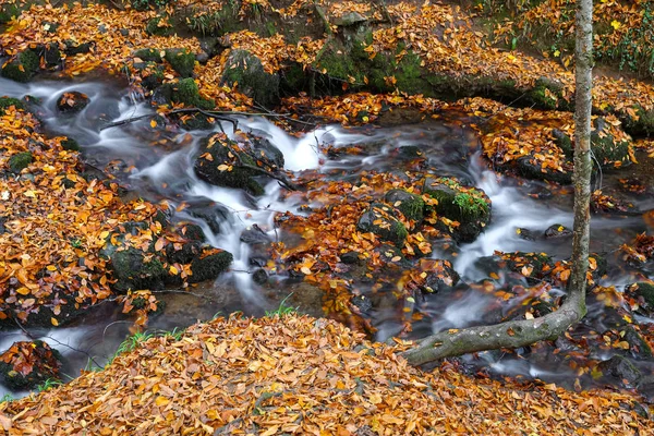 Waterfall in Yedigoller National Park, Bolu, Turkey — Stock Photo, Image