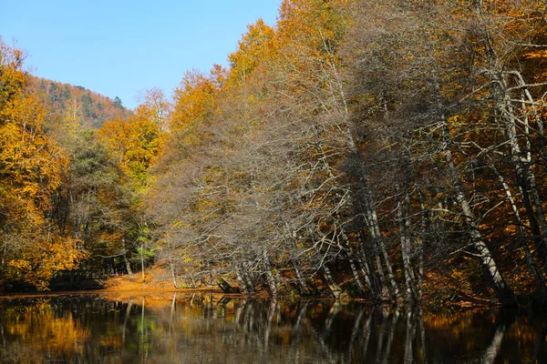 Derin Lake in Yedigoller National Park, Bolu, Turkije — Stockfoto