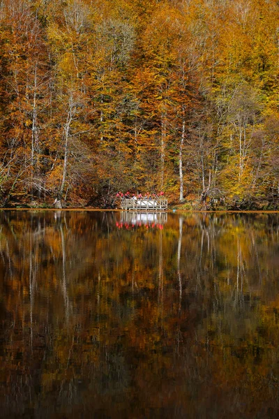 Lac Buyuk dans le parc national Yedigoller, Bolu, Turquie — Photo