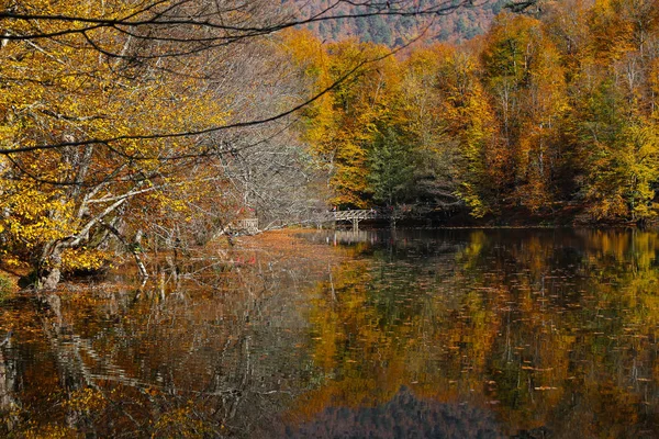 Buyuk see im yedigoller nationalpark, bolu, truthahn — Stockfoto