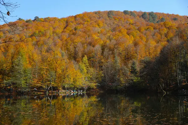 Buyuk Lake in Yedigoller National Park, Bolu, Turkije — Stockfoto