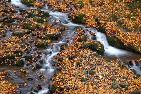 Waterfall in Yedigoller National Park, Bolu, Turkey — Stock Photo, Image