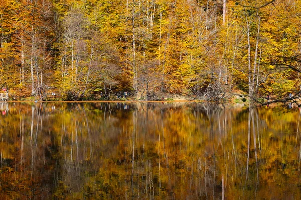 Lac Buyuk dans le parc national Yedigoller, Bolu, Turquie — Photo