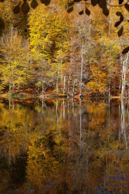 Büyük göl Yedigoller Milli Parkı'nda, Bolu, Türkiye