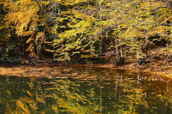 Büyük göl Yedigoller Milli Parkı'nda, Bolu, Türkiye